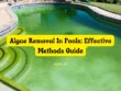 Algae Removal In Pools Effective Methods Guide