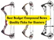 Best Budget Compound Bows Quality Picks for Hunters