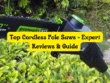 Top Cordless Pole Saws - Expert Reviews & Guide
