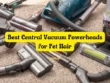 Best Central Vacuum Powerheads for Pet Hair
